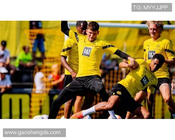 2017年德累斯顿与慕尼黑1860的精彩对决回顾与分析